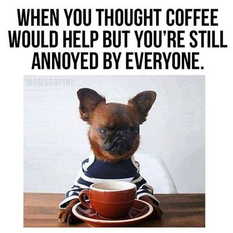 65 Funny Coffee Memes You Can Always Relate To Inspirationfeed