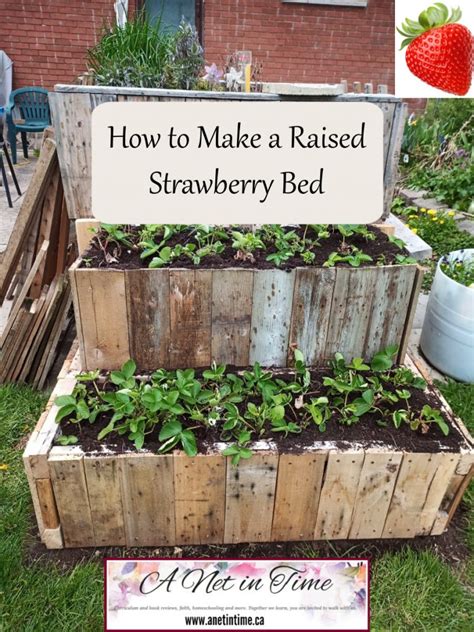 How To Make A Raised Strawberry Bed A Net In Time