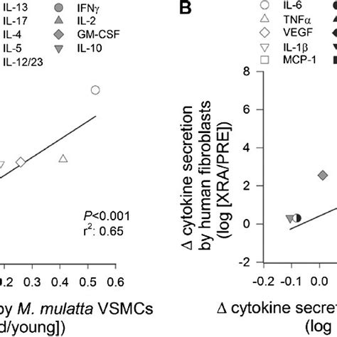 secretory profi les of vascular smooth muscle cells vsmcs derived download scientific diagram