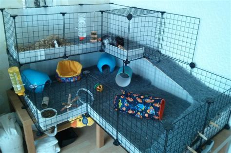 Why Extra Large Guinea Pig Cages Indoor Matters To Your Guinea Pig