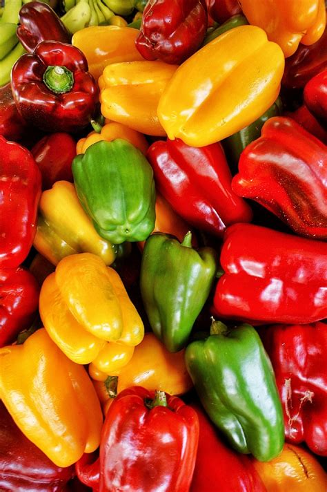 Peppers Free Stock Photo Public Domain Pictures