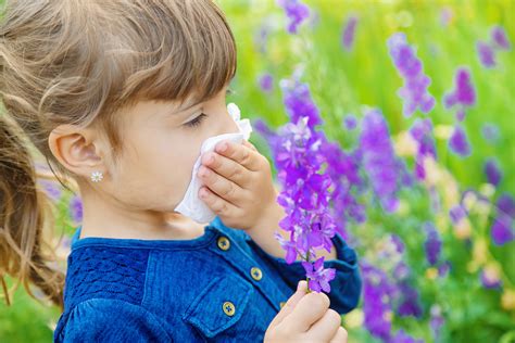 The 5 Most Common Allergies Understanding And Managing Them Allergy