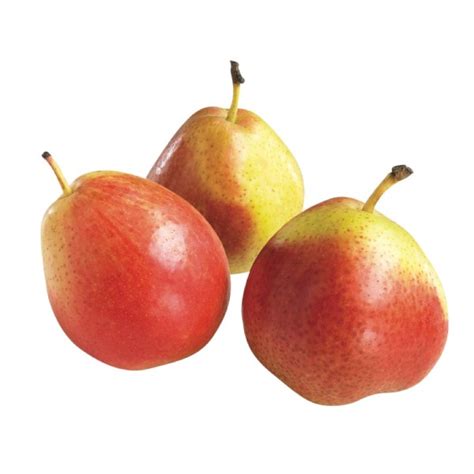 Buy Forelle Pears South Africa Per Kg Online Aed55 From Bayzon