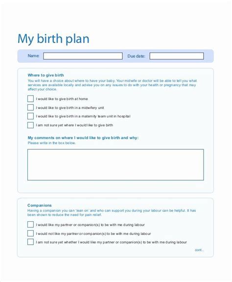 Birth Plan Template Word Document Lovely Birth Plan Template 9 Free