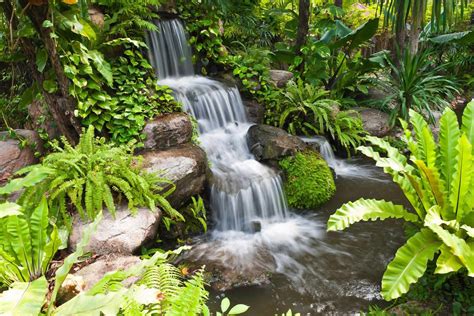 Maybe you would like to learn more about one of these? Photo Image Analysis: Garden Waterfall in Your Landscaping ...