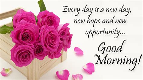 Good Morning Quotes Hd Images Morning Greetings And Messages