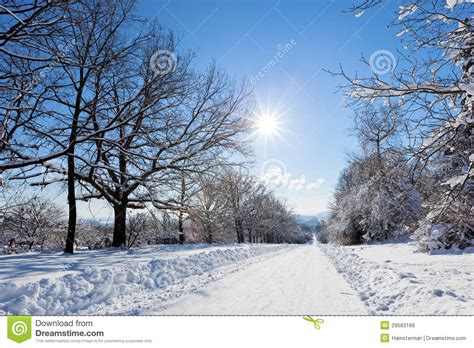Winter Road Landscape With Snow Covered Trees Royalty Free