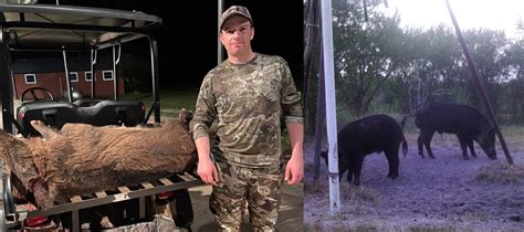 Free Range Hog Hunting In South Texas At Haun Ranch