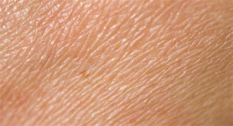 Human Skin Stock Photo Image Of Complexion Close Clean 23190242