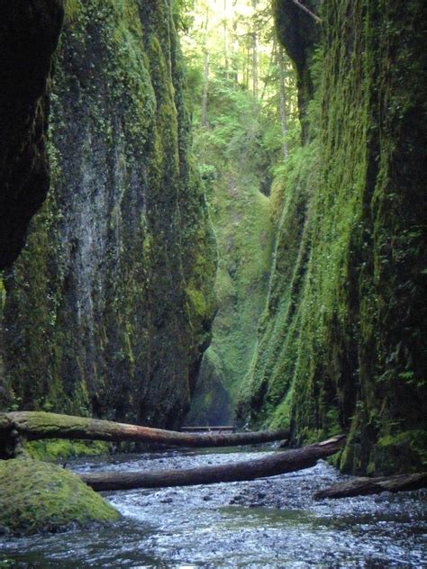 Oneonta Gorge Hike Oregon