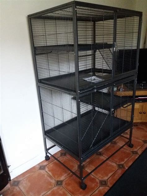 Large Rat Cage In Clifton Nottinghamshire Gumtree