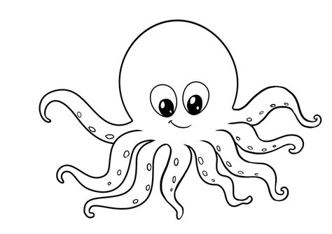 Cute Octopus Drawing For Kids Resenhas De Livros