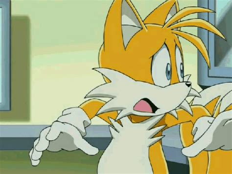 Tails In Sonic X  04 Episode 5 Hq By Tailsmodernstyle On Deviantart