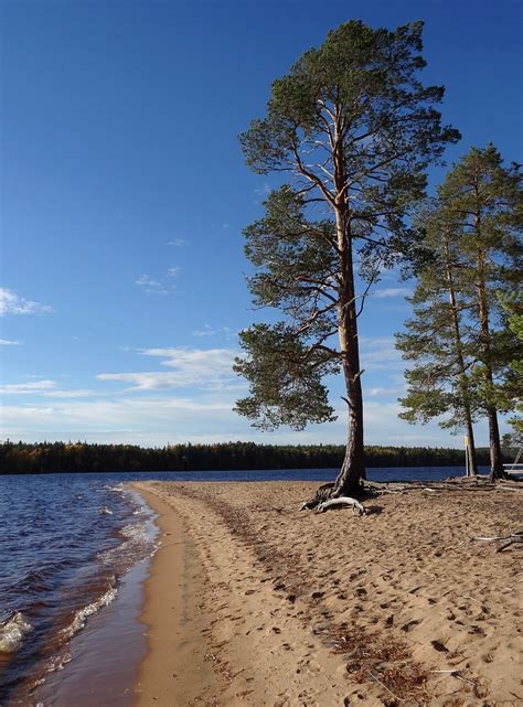 Miekojärvi Lake Pearl Of The Arctic Circle In Western Lapland
