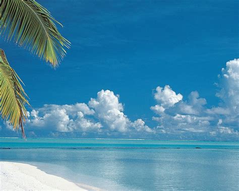 Cook Islands Tropical Beach Wallpaper 1280x1024 Download
