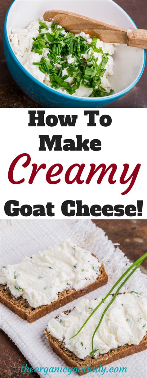 How To Make Creamy Goat Cheese Goat Milk Recipes Cheese Recipes