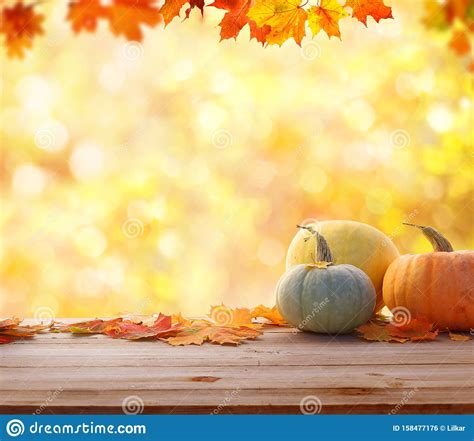 Autumn Background With Leaves And Pumpkinsharvest Or