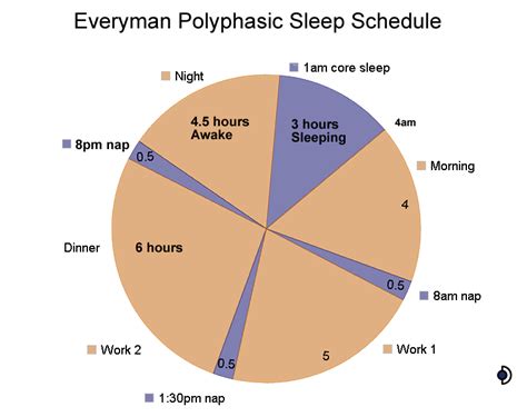 Everyman Sleep Schedule Graph Beholder Sphere