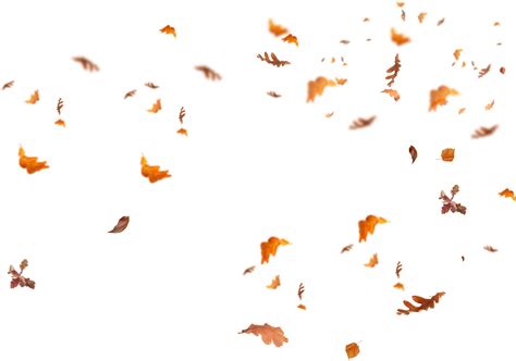 Fall Leaves Png Falling Leaves Photoshop Overlays Photo Overlays