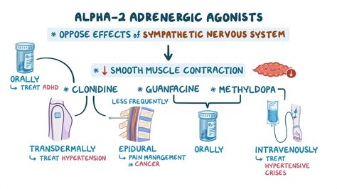 Alpha 2 Adrenergic Agonists Nursing Pharmacology Osmosis Video Library