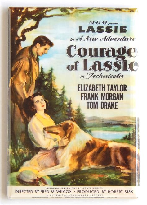Courage Of Lassie Movie Poster Fridge Magnet Etsy Uk