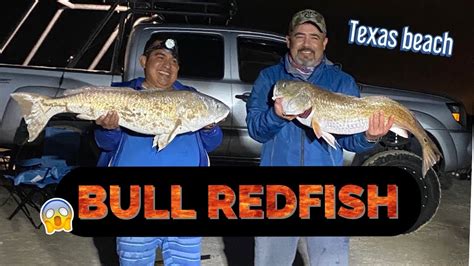 Big Bull Redfish In Texas Beach Fishingpesca Freeport Tx Bryan