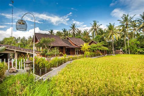 Rental Homes In Bali Must Stay Villas In Ubud And Top Attractions To Visit