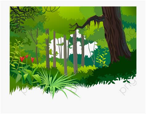 Tropical Rainforest Clip Art Clip Art Library