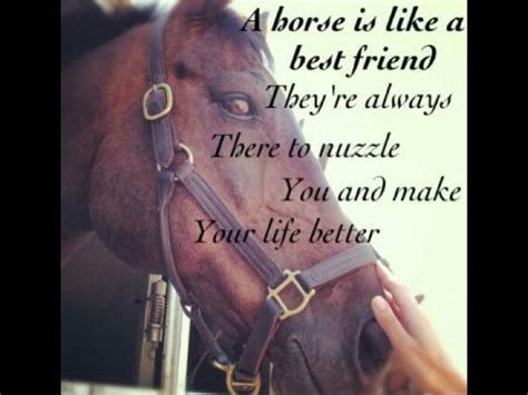 A Horse A Best Friend Amazing Quotes Beautiful Quotes Best Quotes