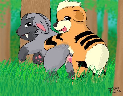 Rule 34 Color Day Female Forest Growlithe Insertion Interspecies Male Nude Outdoors Penis