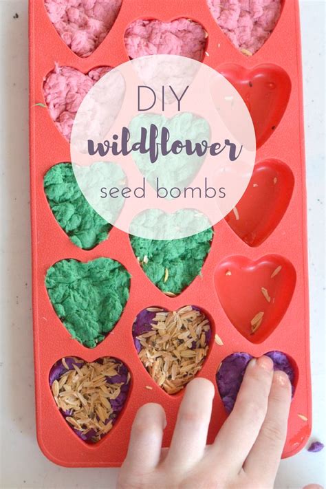 Once the wildflower seed bombs are dry you can use them! Pin on Kid + Kin