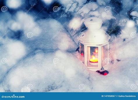 Lantern With A Burning Candle Under A Snow Covered Christmas Tree In