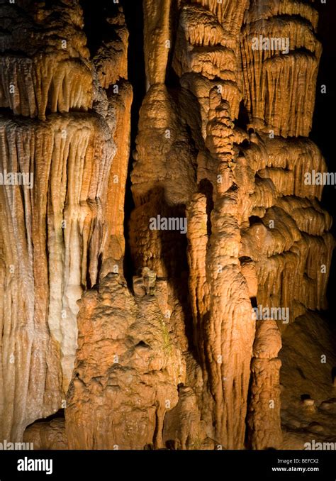 Pub Habubu Etichetta Cave Column Efficacia Transazione Radar
