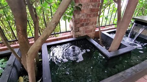 How many koi can i put in my pond? The mini 400 gallon Koi pond is 100% complete - YouTube