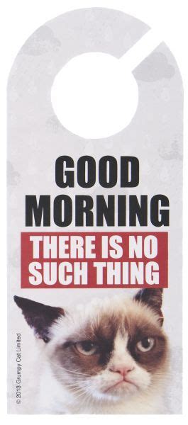 Grumpy Cat Door Hanger Good Morning
