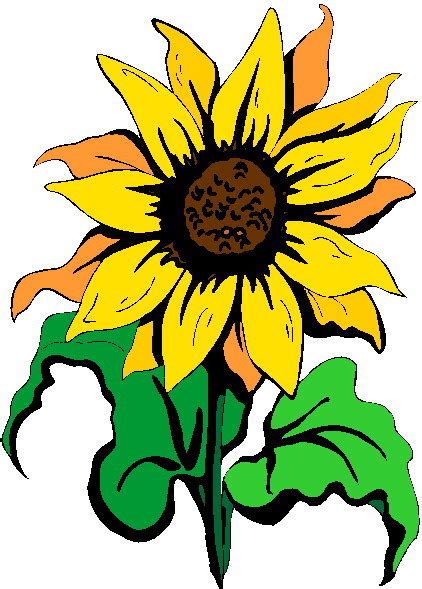 Sunflower Clip Art Clipart Best