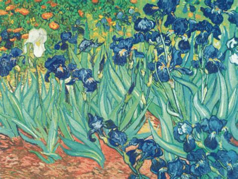Irises In The Garden Art Print By Vincent Van Gogh King Mcgaw