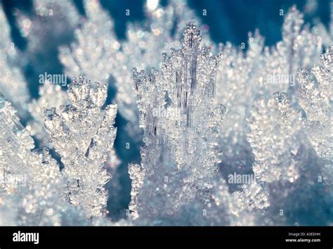 Hoar Frost Crystals Stock Photo Alamy