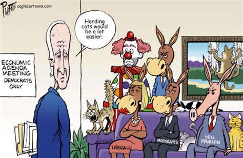 7 Brutally Funny Cartoons About Democratic Infighting