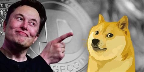 Dogecoin (doge) surged more than 50% on thursday morning to trade around $0.059 per coin. Elon Musk's Twitter Poll Offers Choice - Is It DOGE or All ...