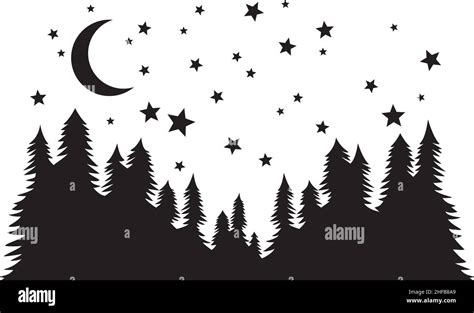 Forest At Night With Stars
