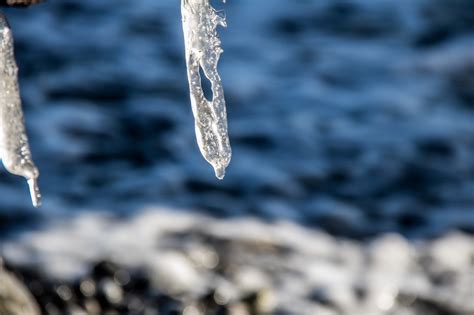 Wallpaper Sea Water Nature Snow Winter Branch Ice Frost