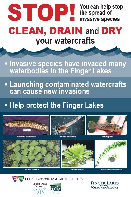 Aquatic Invasive Species Information Canandaigua Lake