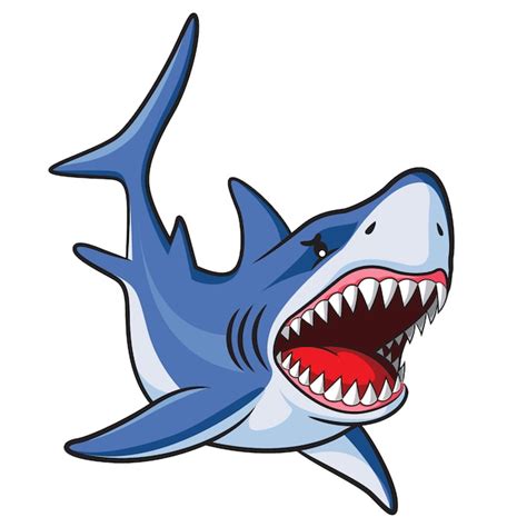 Shark Cartoon Premium Vector