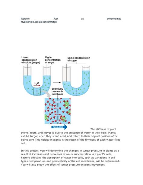 Osmosis Project Of Chemistry Pdf