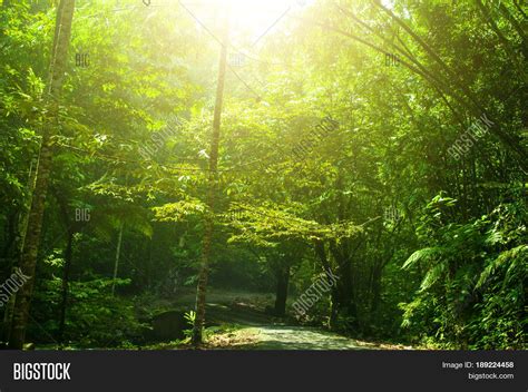 Incredible Tropical Image And Photo Free Trial Bigstock