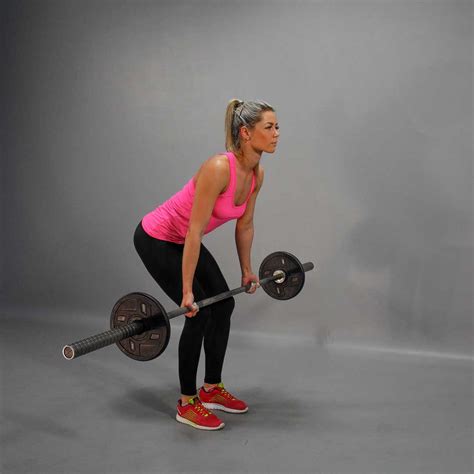 Barbell Reverse Grip Bent Over Row Fit Drills Website