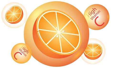 Orange High Vitamin C Vector Stock Vector Illustration Of Orange
