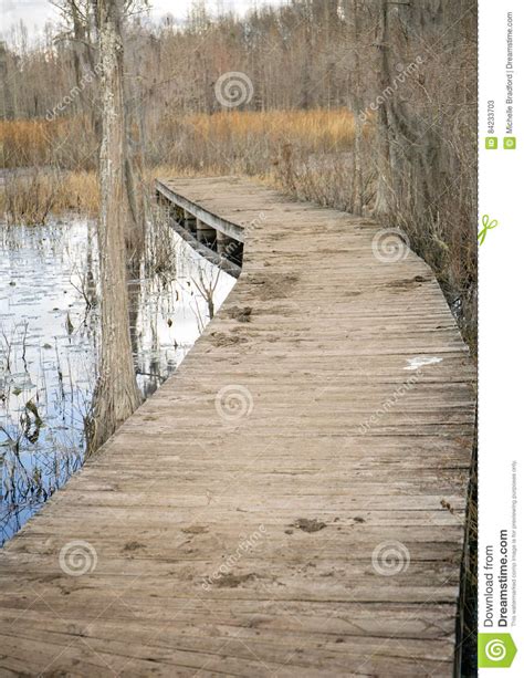 Boardwalk Into A Swamp Stock Image Image Of Wilderness 84233703
