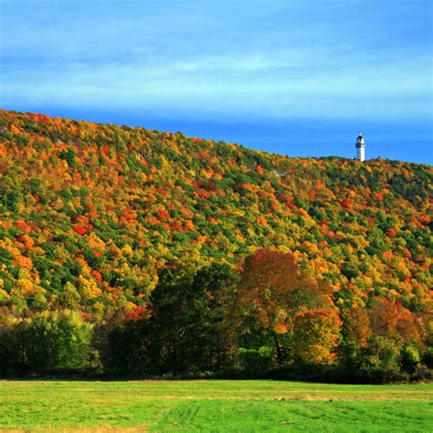 Where To Go Leaf Peeping Near Nyc Best Ambiance